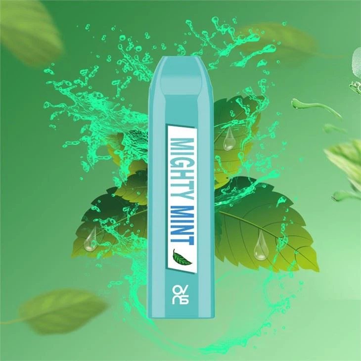 500 Puffs 2.3Ml E-Liquid Pod Disposable Vape Pen Vaporizer