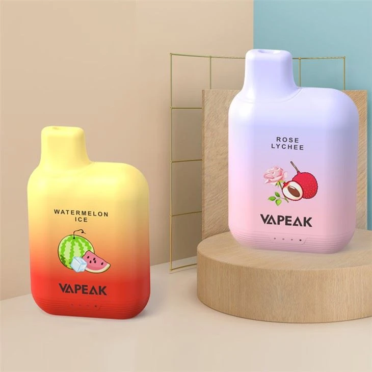 5000 cộng với Puff Disposabe Vapes