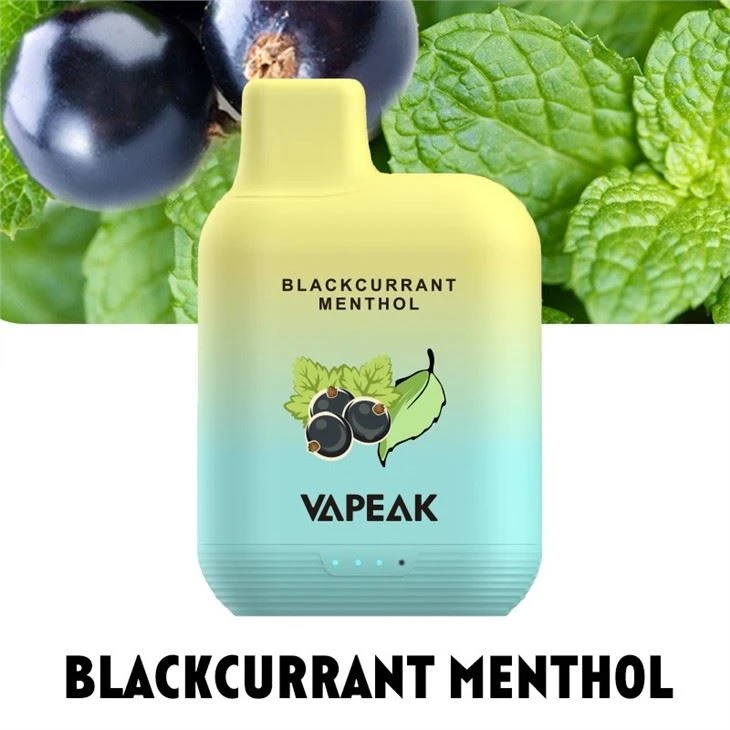 5000+ Puff Disposabe Vapes 5000+ Puff Disposabe Vapes