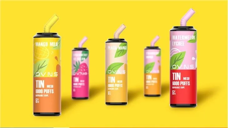 Thiết kế tốt nhất 6000 Puffs Vape