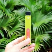 Mesh Coil 2500Puffs Vape