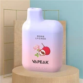 5000 Puffs Vape dùng một lần có thể sạc lại