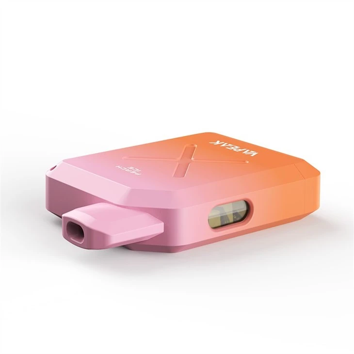 Vapeak Disposable Vape 500 Puffs