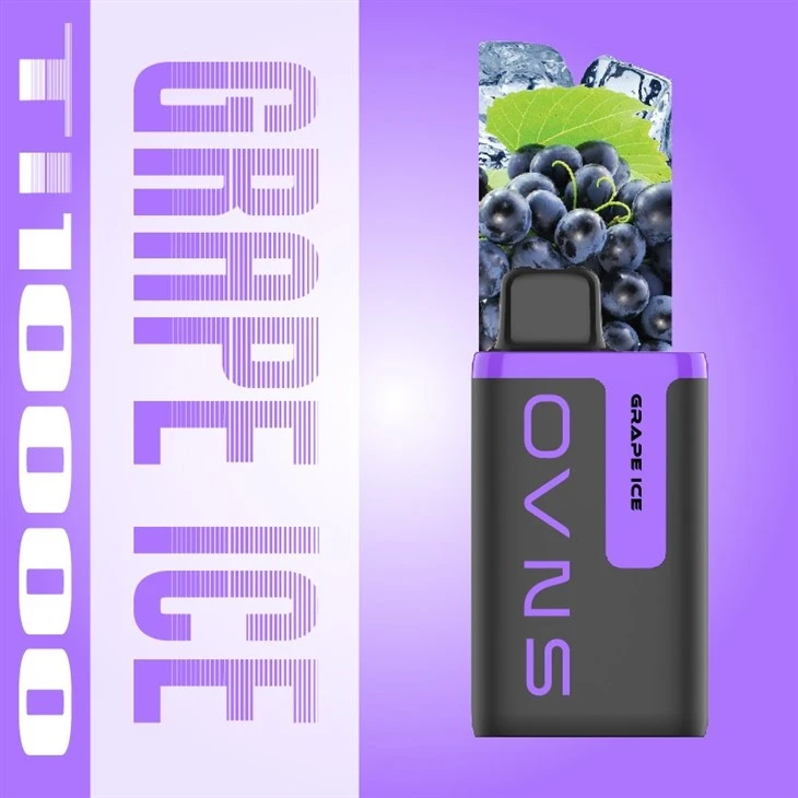 2023 2% And 5% Nicotine 10K Puffs Disposable Vape 2023 2% And 5% Nicotine 10K Puffs Disposable Vape